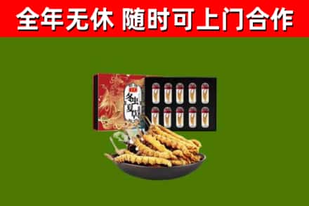 北安市烟酒回收冬虫夏草礼盒.jpg